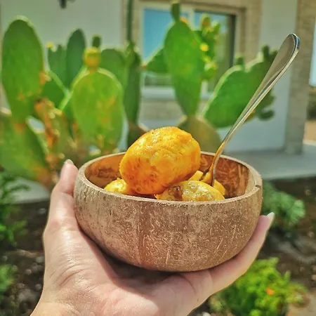 Carrua Landsted Marzamemi