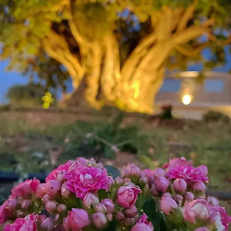 Carrua Hétvégi ház